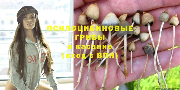 твердый Нея