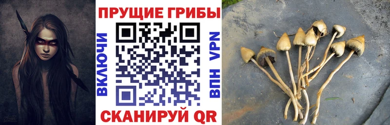 mega вход  Аргун  Псилоцибиновые грибы прущие грибы 