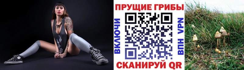 Галлюциногенные грибы ЛСД Аргун