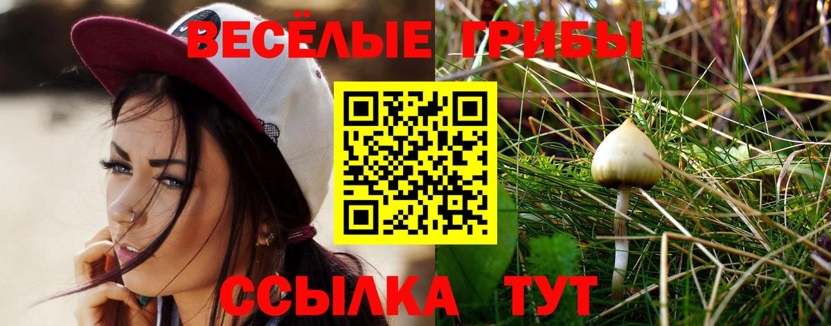 Псилоцибиновые грибы прущие грибы  Галлюциногенные грибы ЛСД  Вход с VPN  купить  цена  Аргун 