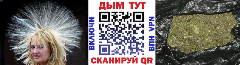 Каннабис ГИДРОПОН  купить наркотик  Аргун 